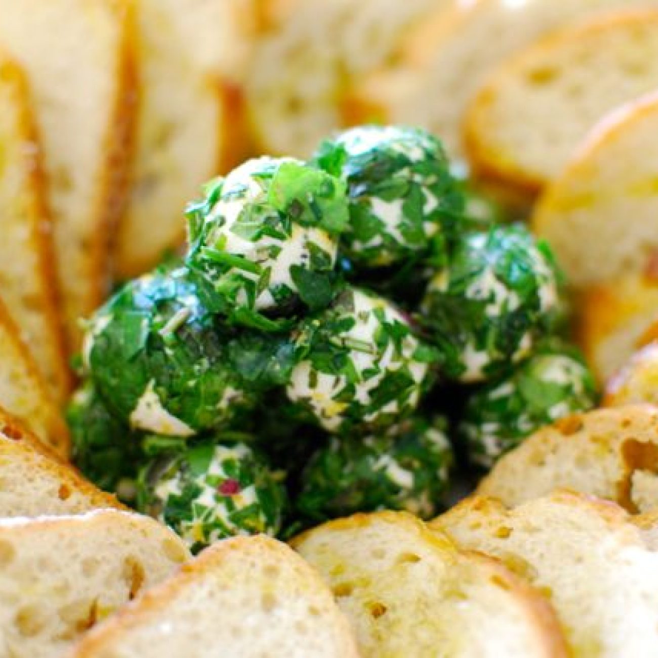 Fresh Herb Goat Cheese Spread