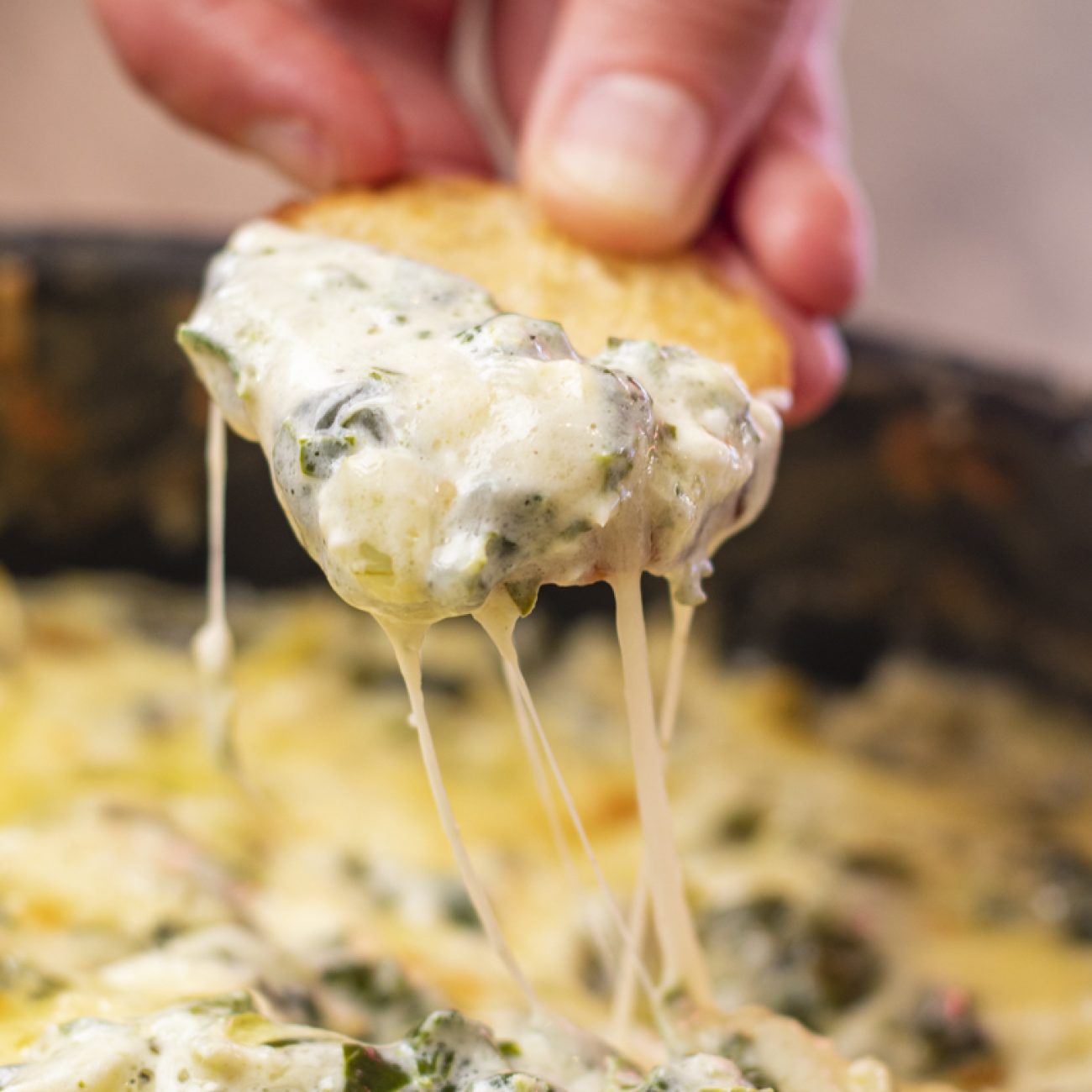 Garlic, Garlic, Garlic…Spinach Dip! Mmm..