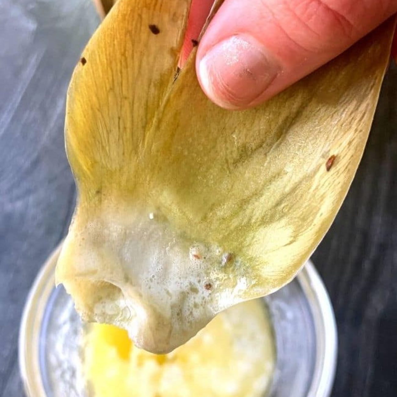 Garlic-Infused Steamed Artichokes with Savory Dip Recipe