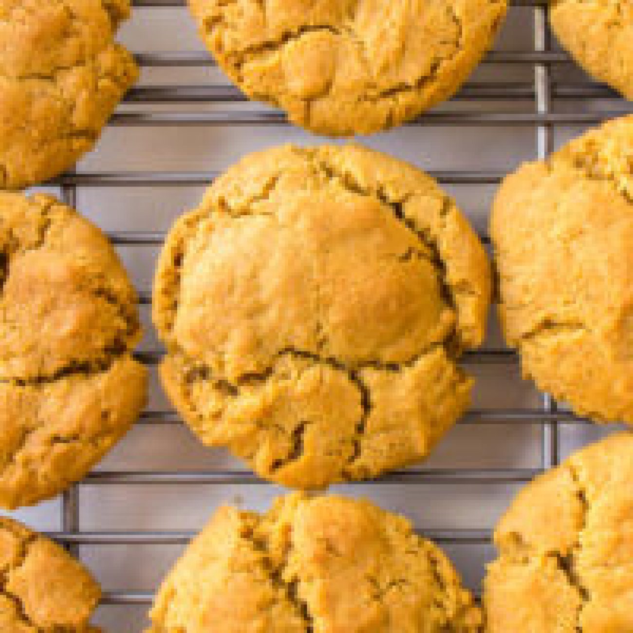 Gingersnaps With Orange- Ginger Cream