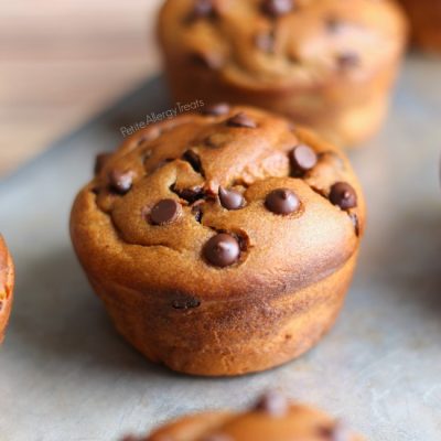 Gluten Free Cluster Muffins With Banana