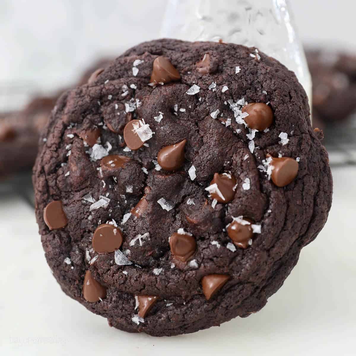 Gourmet Double Chocolate Chunk Cookies