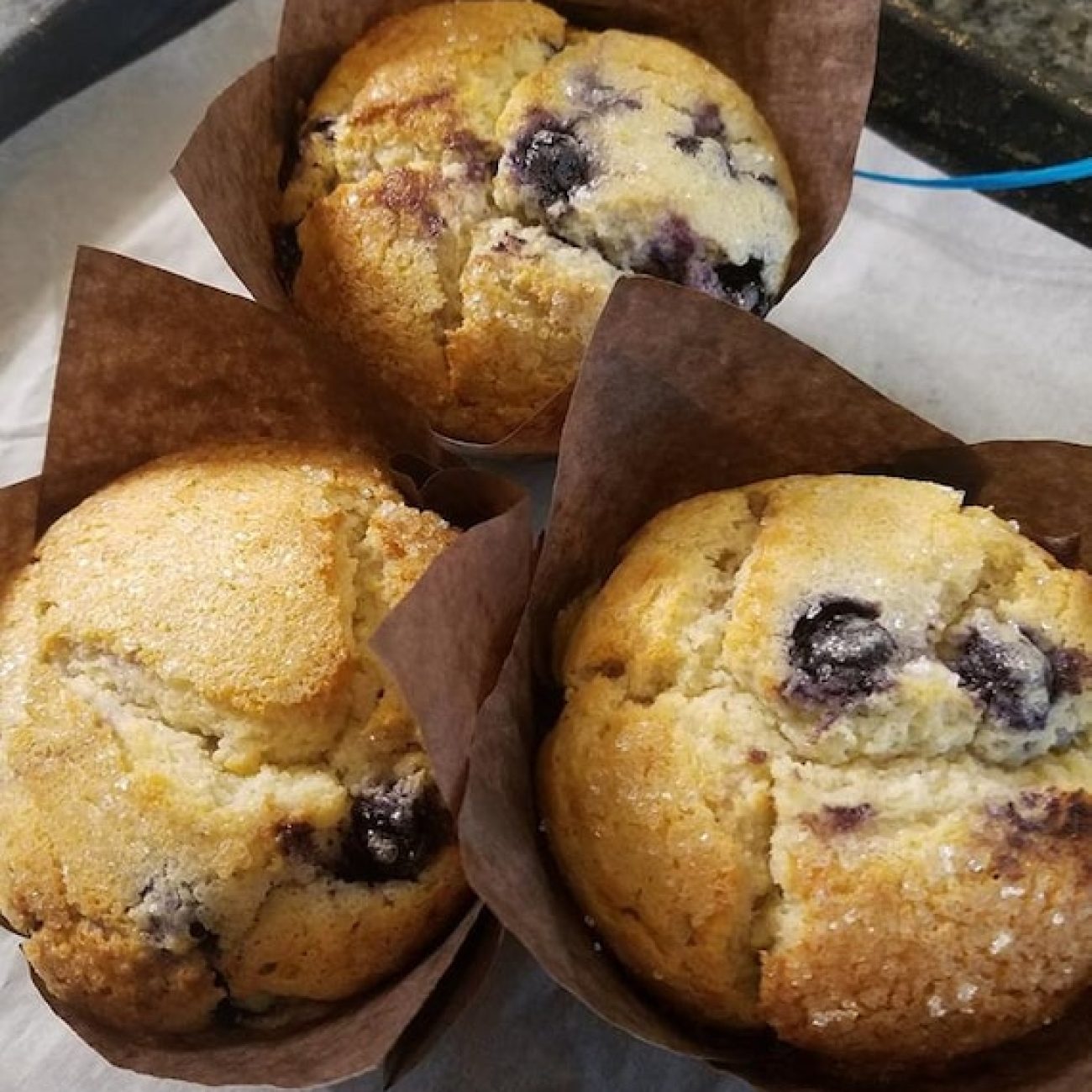 Grandmas Blueberry Muffins