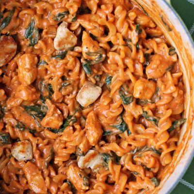 Healthy Chicken Spaghetti With Rotel Tomatoes - Weight Watchers Friendly