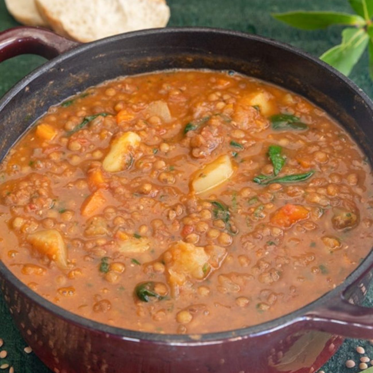 Hearty Spinach and Red Lentil Soup Recipe