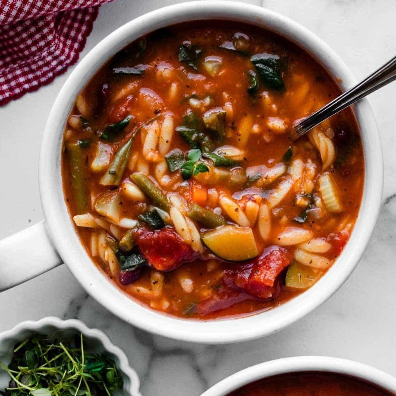 Hearty Tomato Broth Soup Recipe