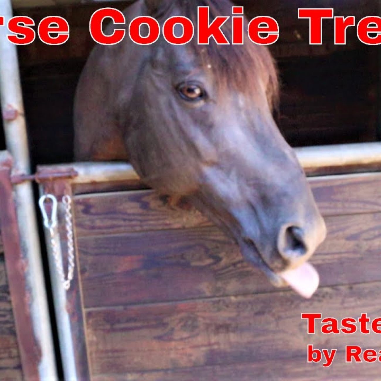 Homemade Horse Treats: Sport and Misty’s Favorite Cookie Recipe