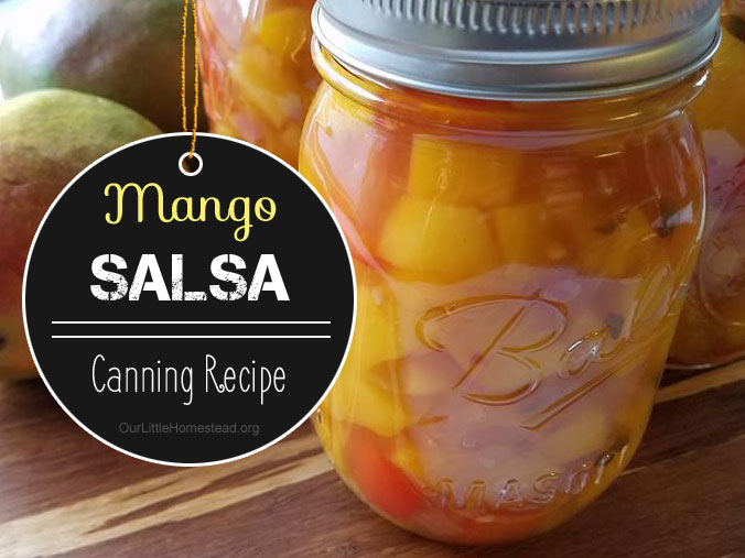 Homemade Salsa For Canning