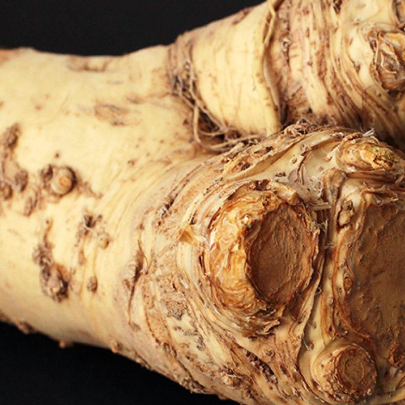 Horseradish