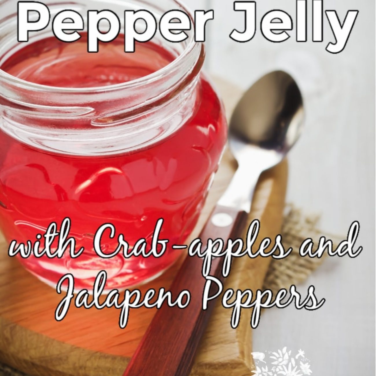 Hot Jalapeno Pepper Jelly