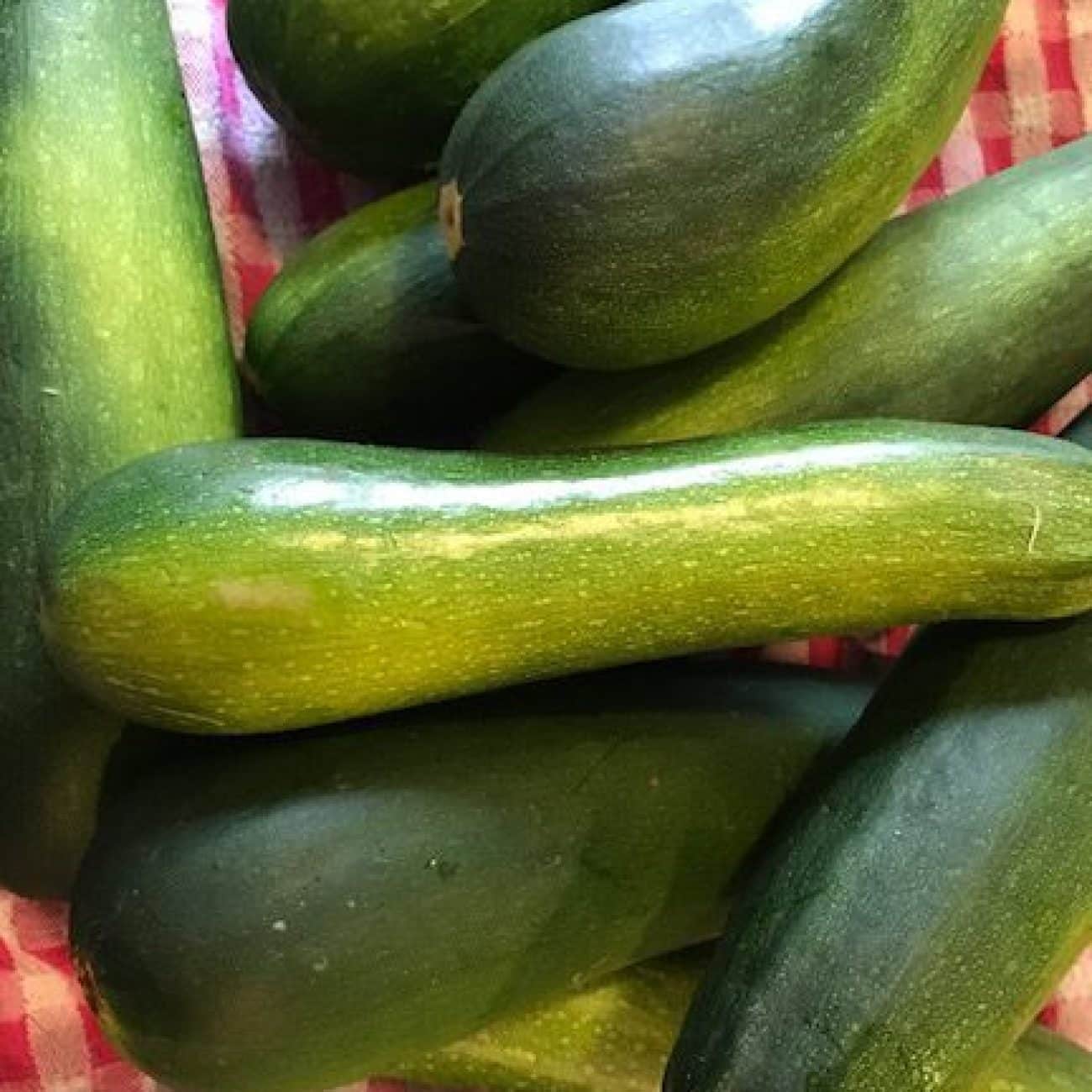 Humble Vegetable Casserole