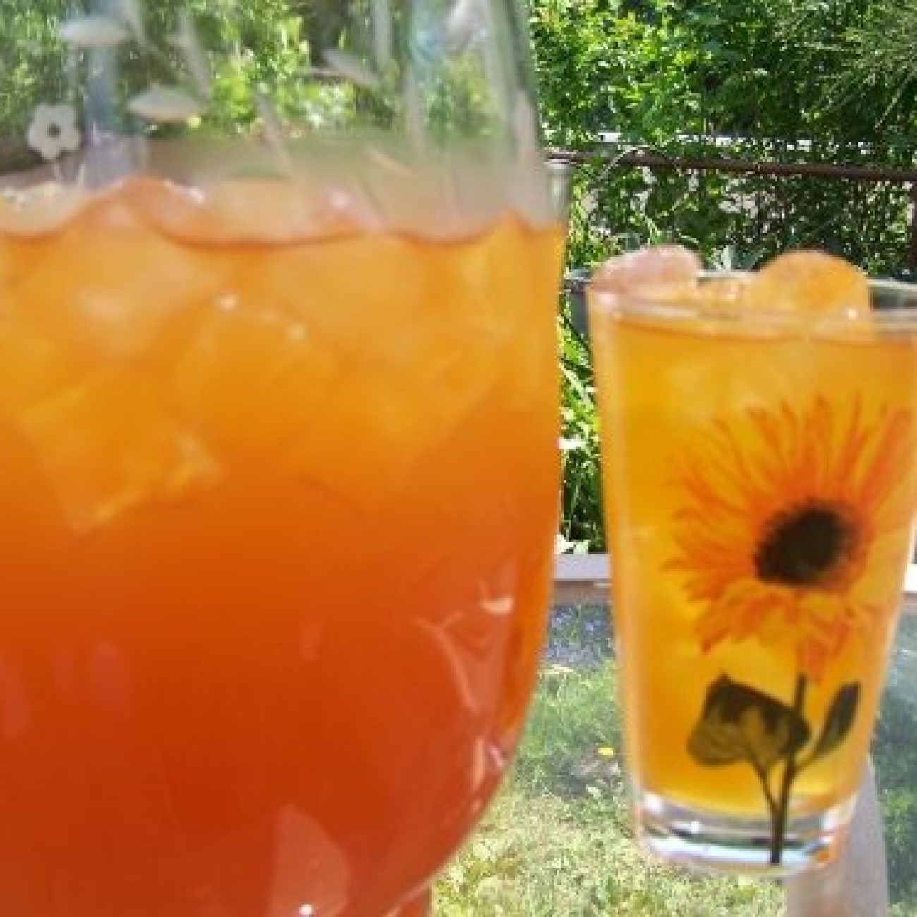 Iced Rooibos And Forest Fruit Tea