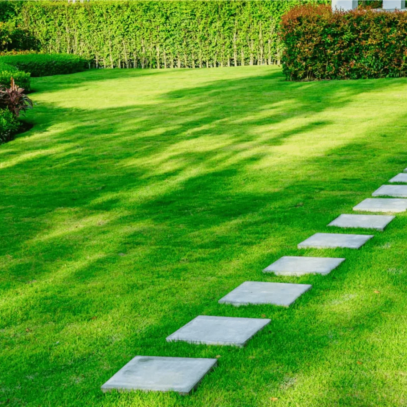 Inexpensive Lawn Care