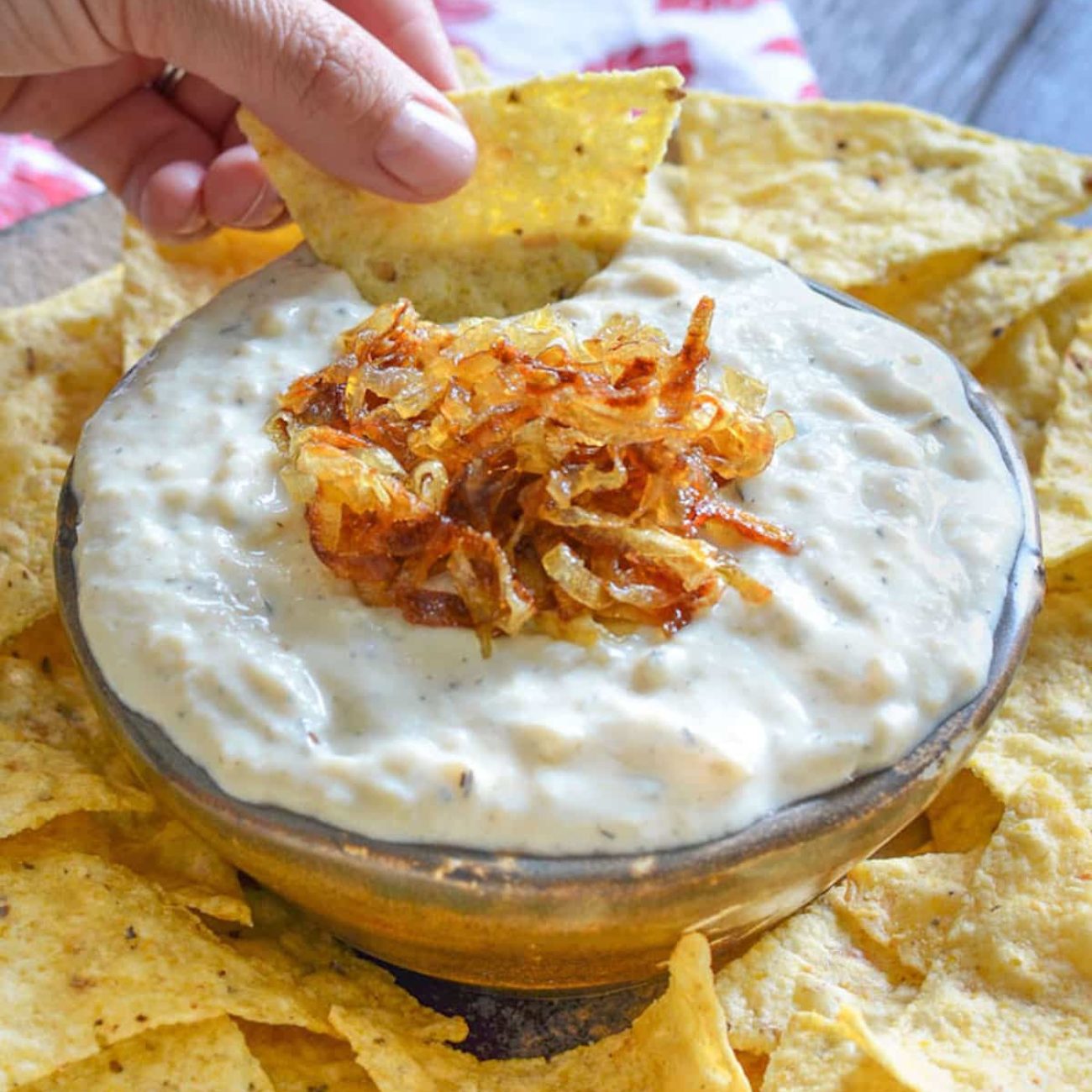 Kittencals Garlic-Onion Dip