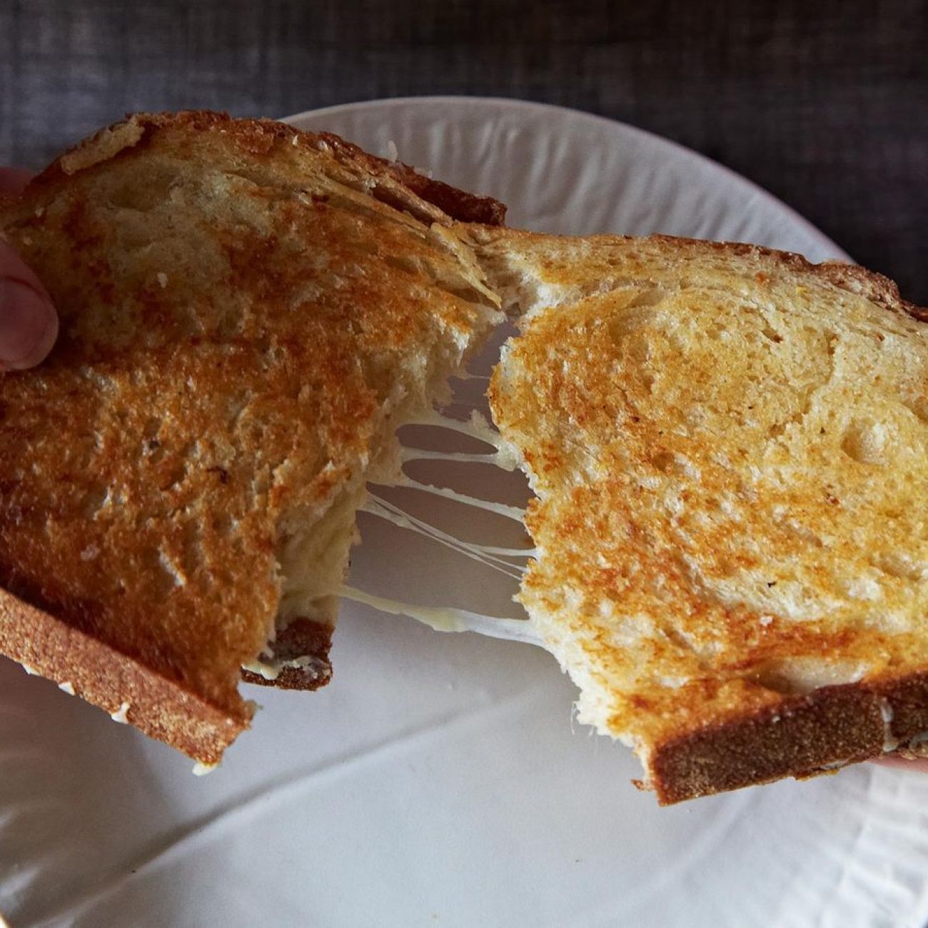 Kristens Grilled Cheese And Red Onion Sandwich