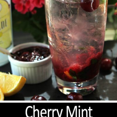 Lemon-Mint Spritzer