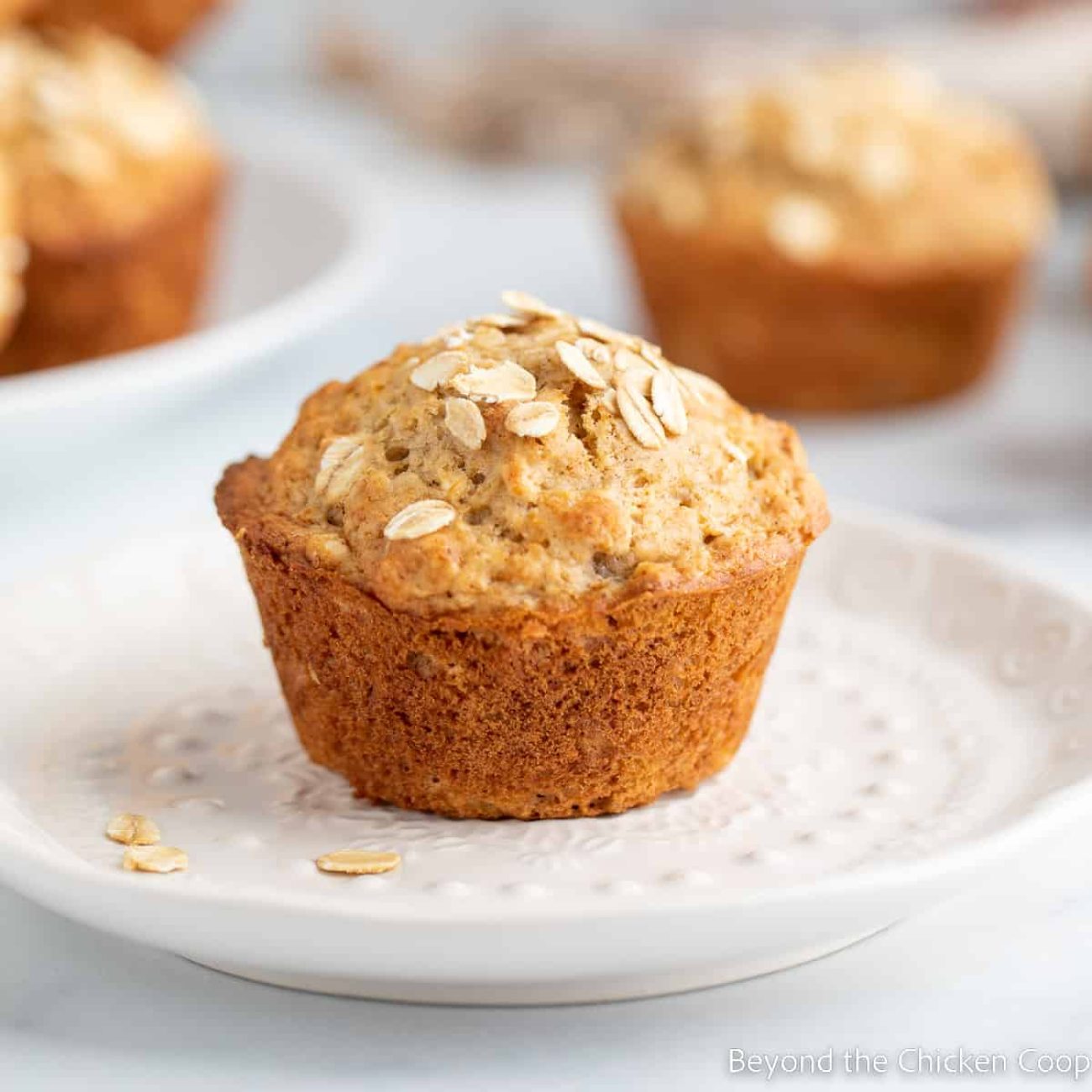 Lemon Pecan Oatmeal Muffins