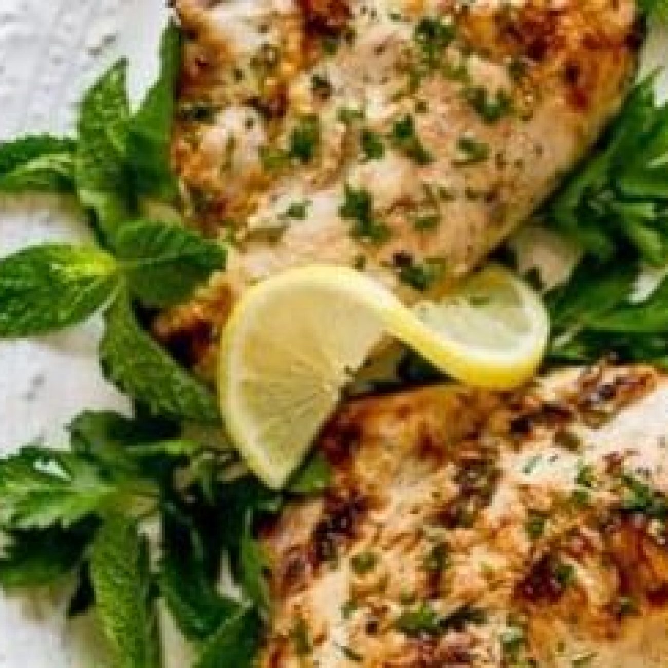 Lemon Yoghurt Marinated Chicken Breasts