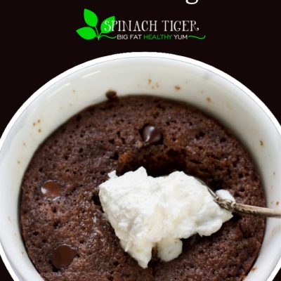 Low Carb Chocolate Mug Cake