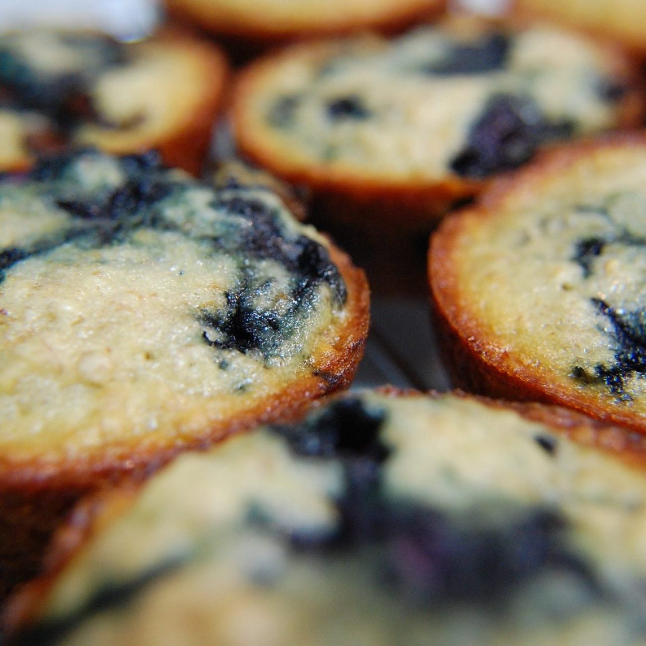 Low-Fat High Fiber Blueberry Bran Muffins