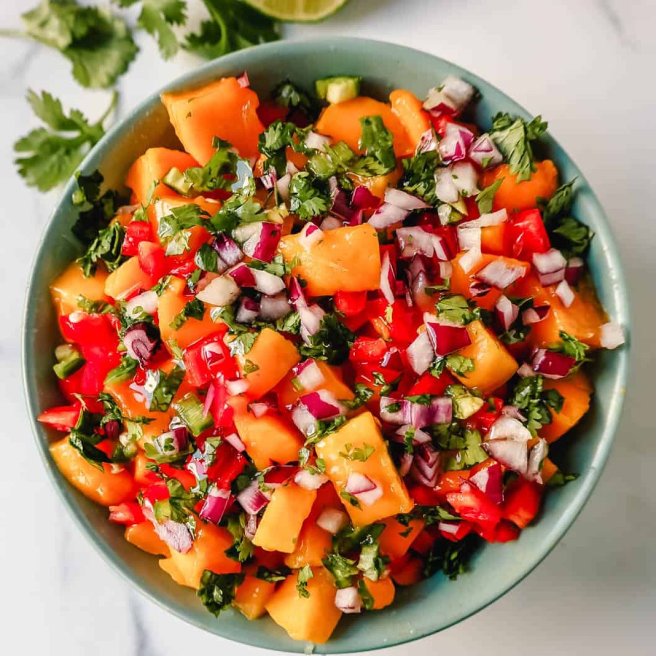 Mango And Red Onion Salsa