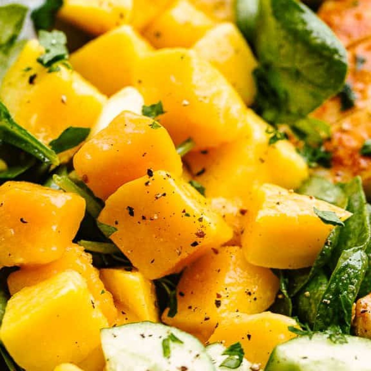 Mango Chicken Salad-Diabetic