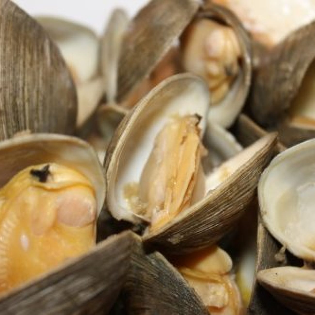 Manila Clams With Basil And Chiles