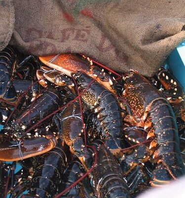 Marinated Crab Claws