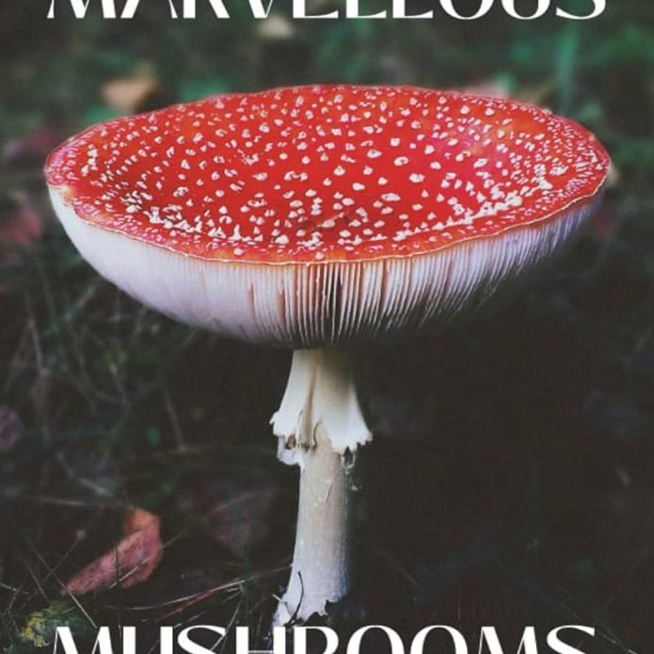 Marvelous Mushrooms