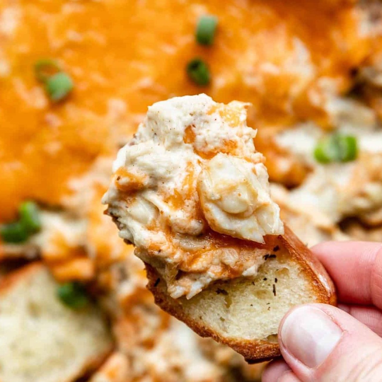 Maryland-Style Hot Crab Dip