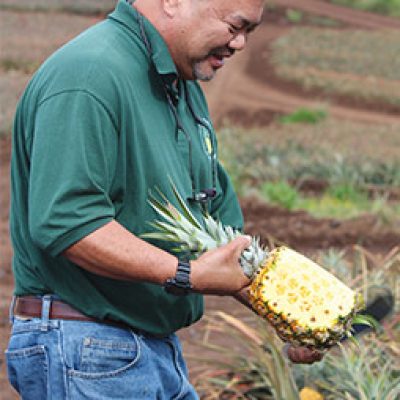 Maui Gold Pineapple Salsa