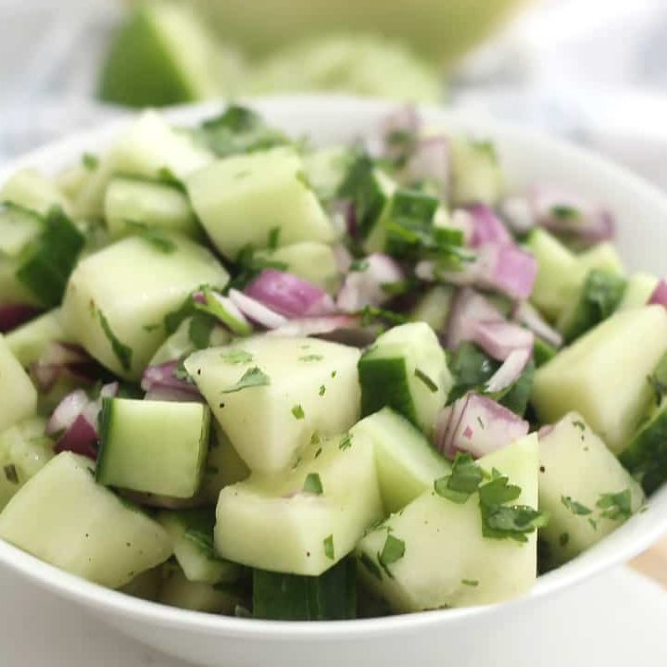 Mexican Melon & Cucumber Salad Salsa