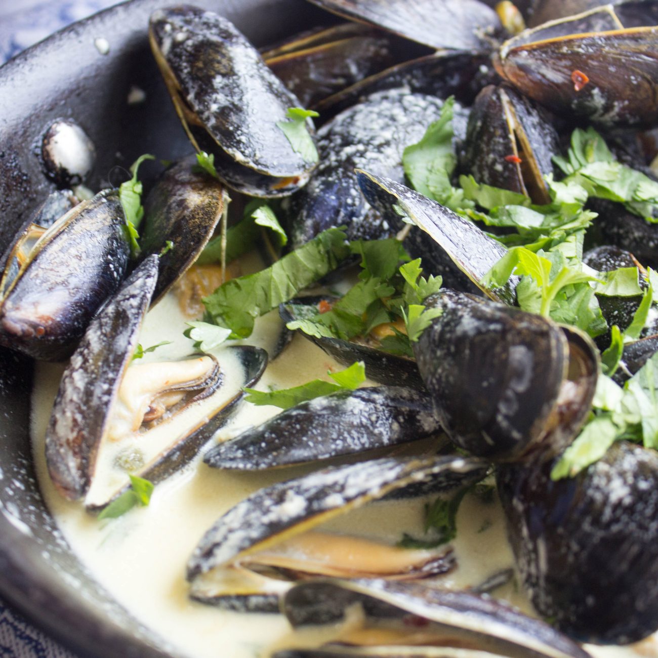 Mussels With Tomatoes, Basil And Saffron