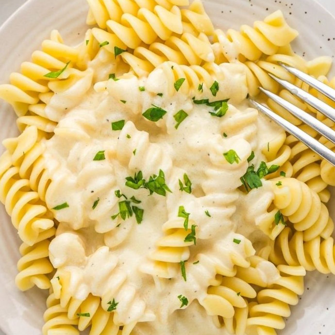 My Very Best Alfredo