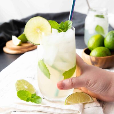 No-Cook Mojito