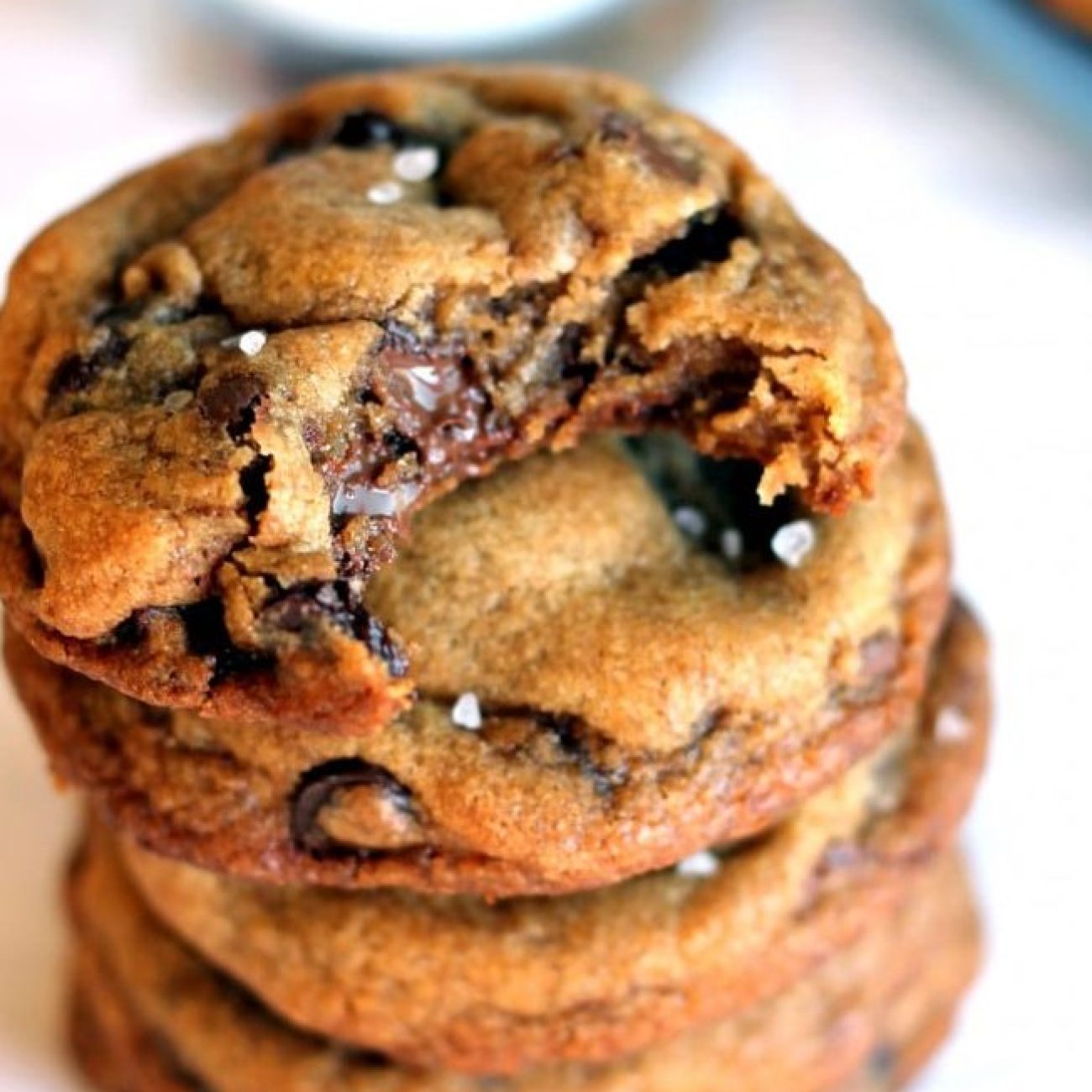 Nutella Chocolate Chocolate Chip