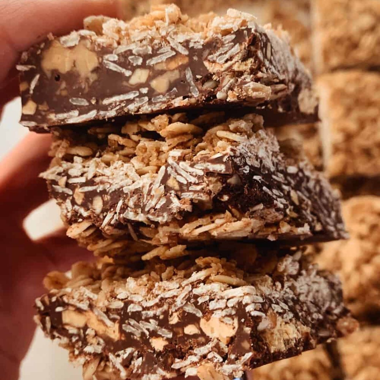 Oatmeal Peanut Butter Chocolate