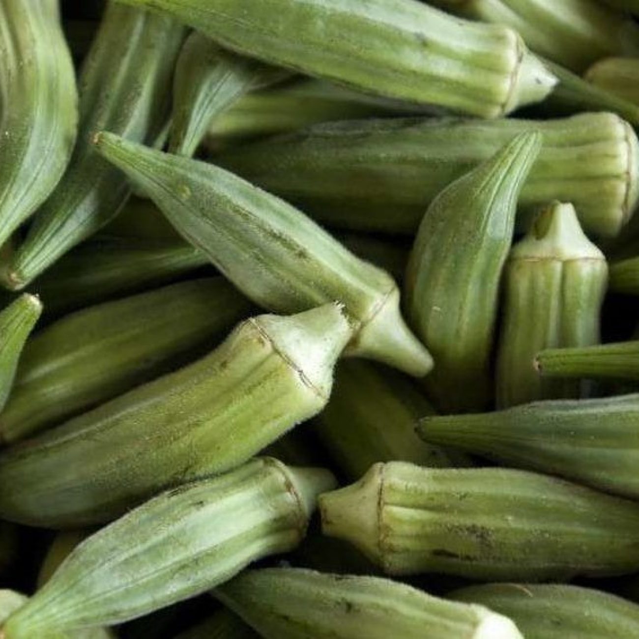 Okra Fingers