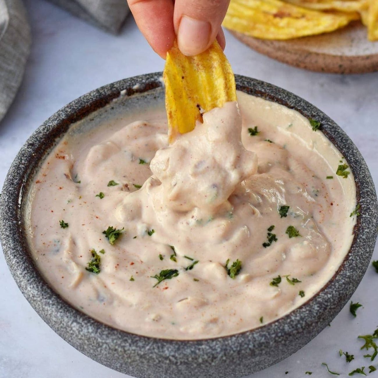 Onion Dip From Scratch, Veganized