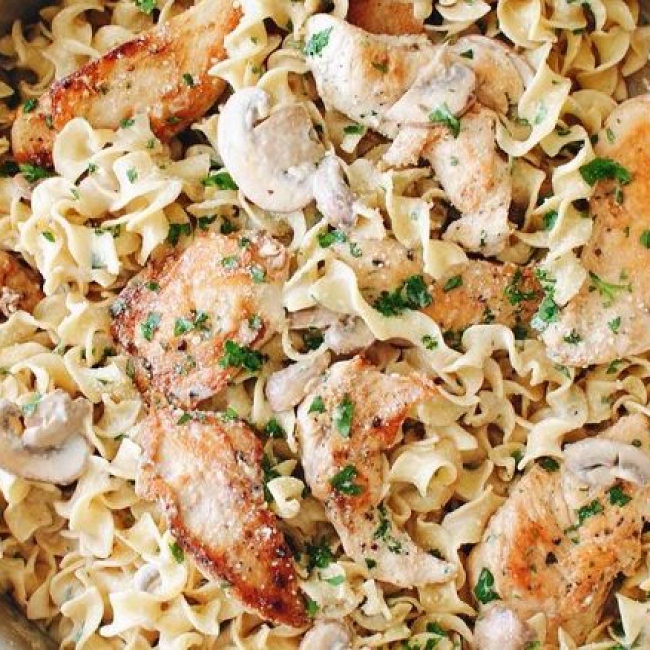 Parma, Chicken & Mushroom Cream Pasta