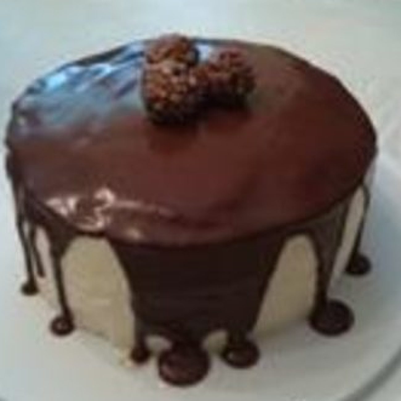 Paula Deens Chocolate Ganache Cake