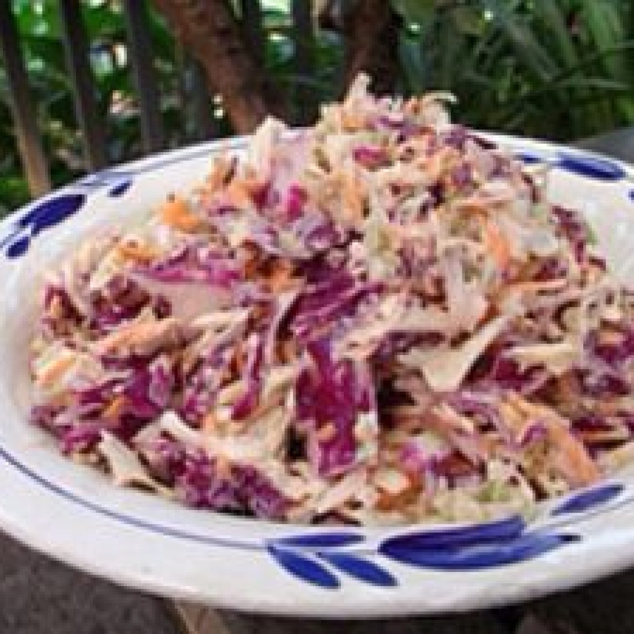 Paula Deens Renes Coleslaw