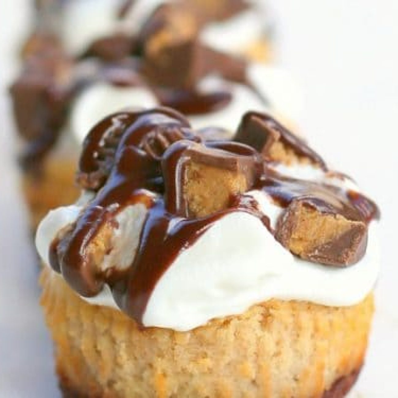 Peanut Butter N Chocolate Mini Cheesecakes