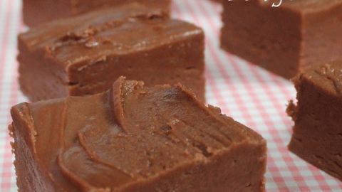 Peanutty Chocolate Fudge