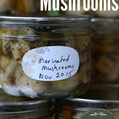 Pickled Mushrooms Canned