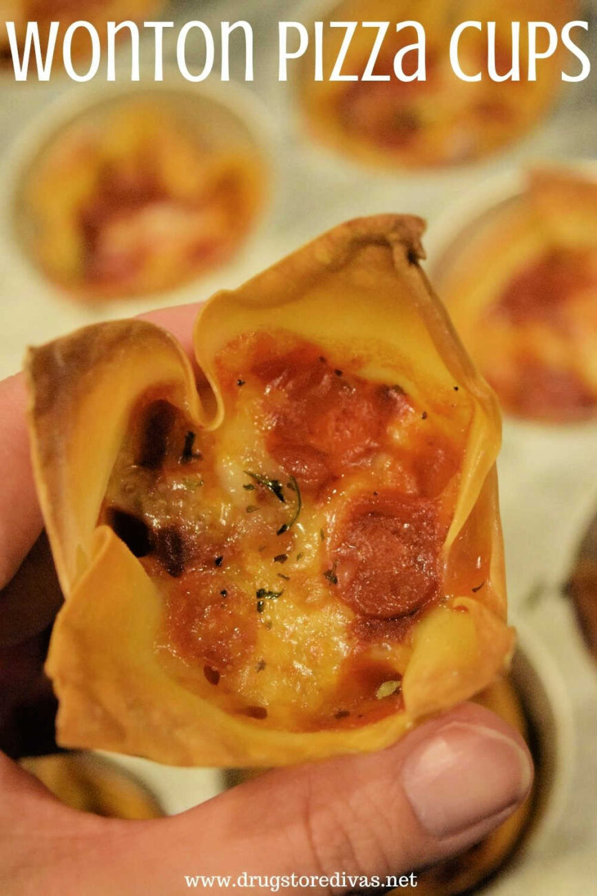 Pizza Wontons