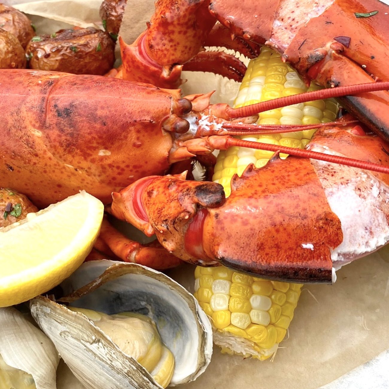 Provincetown Mussels