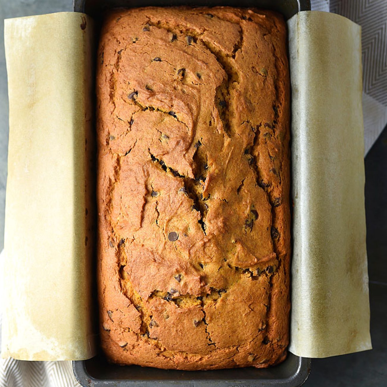 Pumpkin Chocolate Chip Bread/Muffins