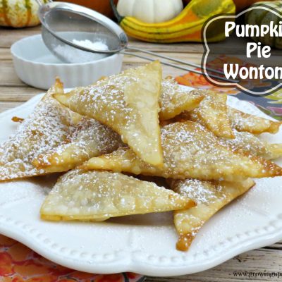 Pumpkin Pie Wontons