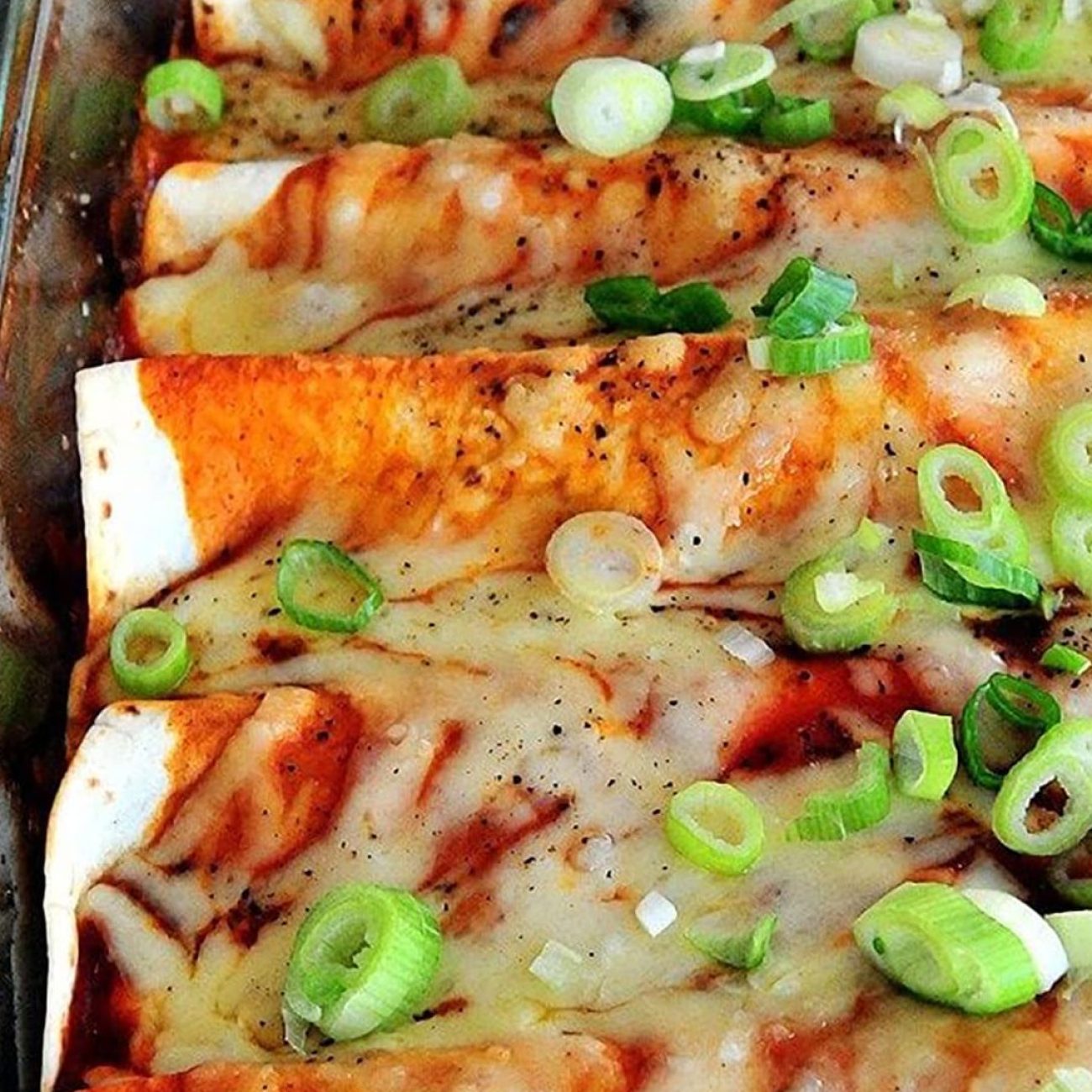 Quick & Delicious Chicken Enchilada Recipe